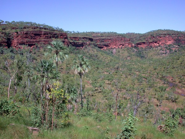 Joe Creek Walk